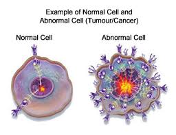 obat tradisional penyakit tumor jinak